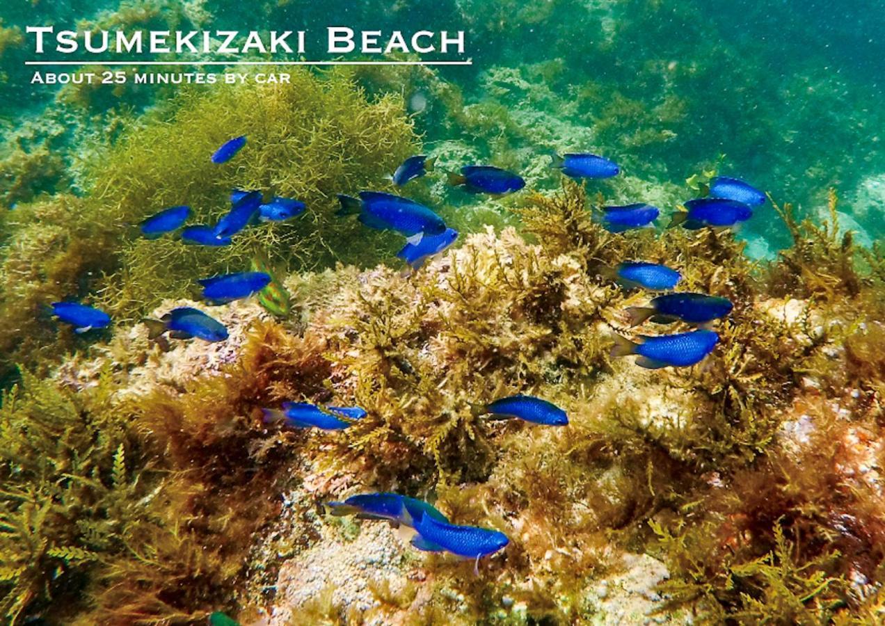 Вилла Shobuzawa Log Кавадзу Экстерьер фото